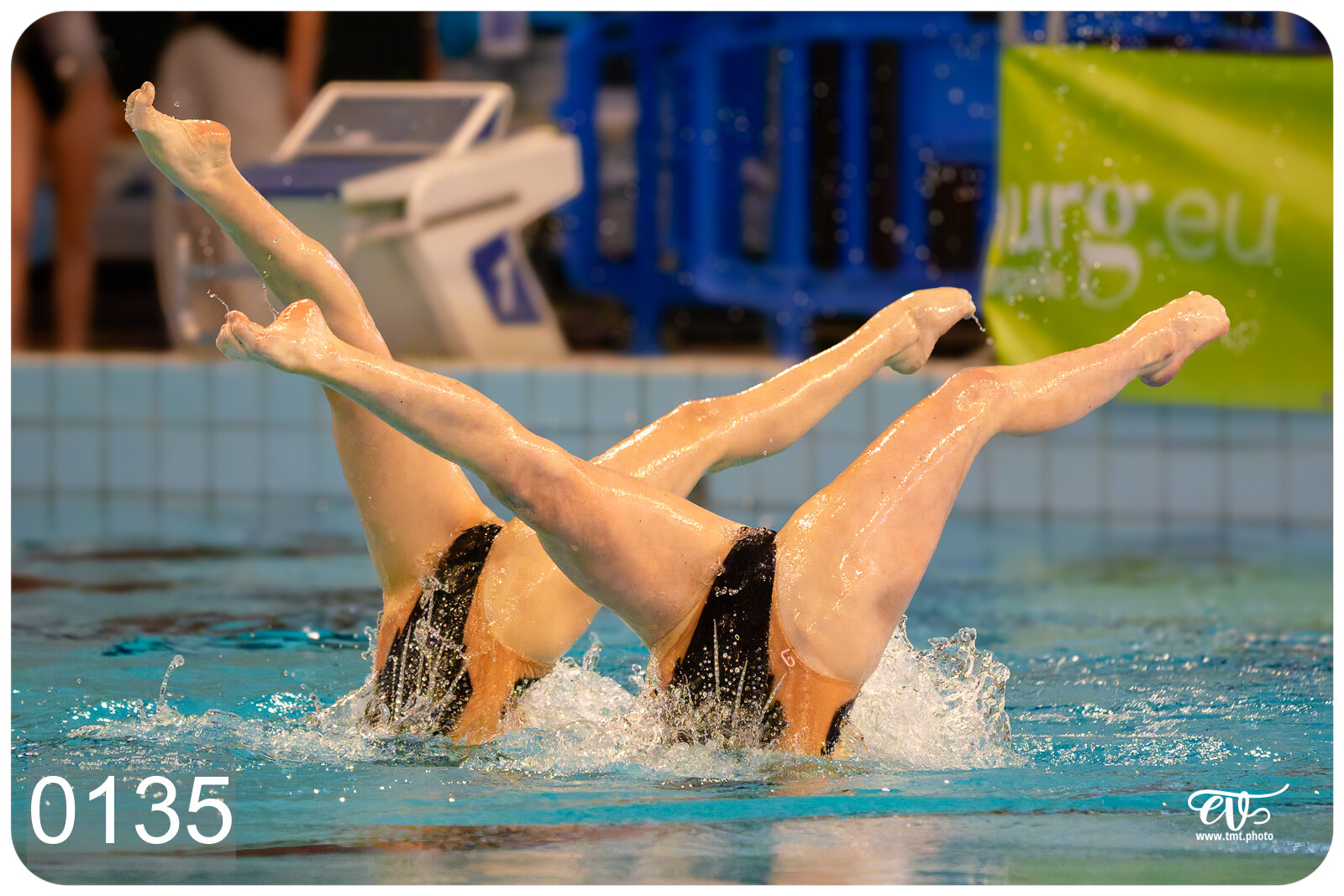 CHAMPIONNAT DE FRANCE DE NATATiON ARTISTIQUE N1 & ELITE 2026